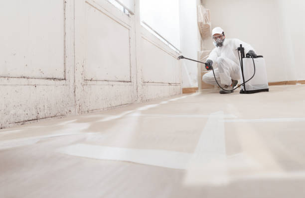 24/7 Emergency Mold Remediation experts in Coram, NY